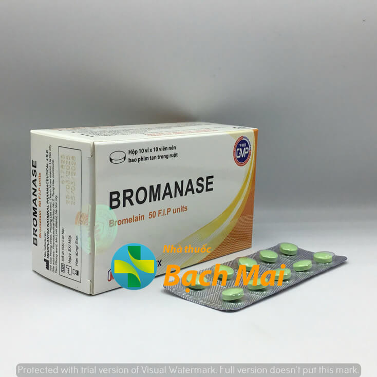 Bromanase H100v