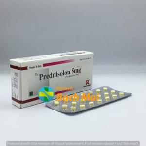 Prednisolon 5mg Nam Hà H40v