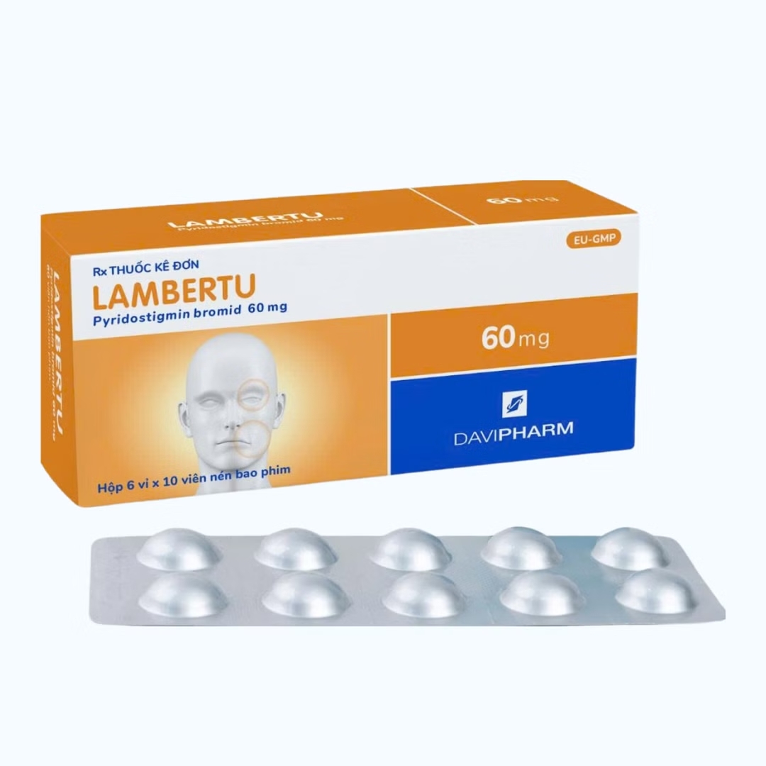 Lambertu 60mg H60v