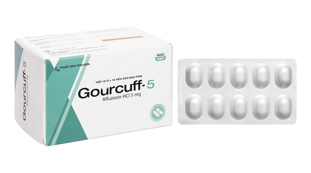 Gourcuff-5 H100v