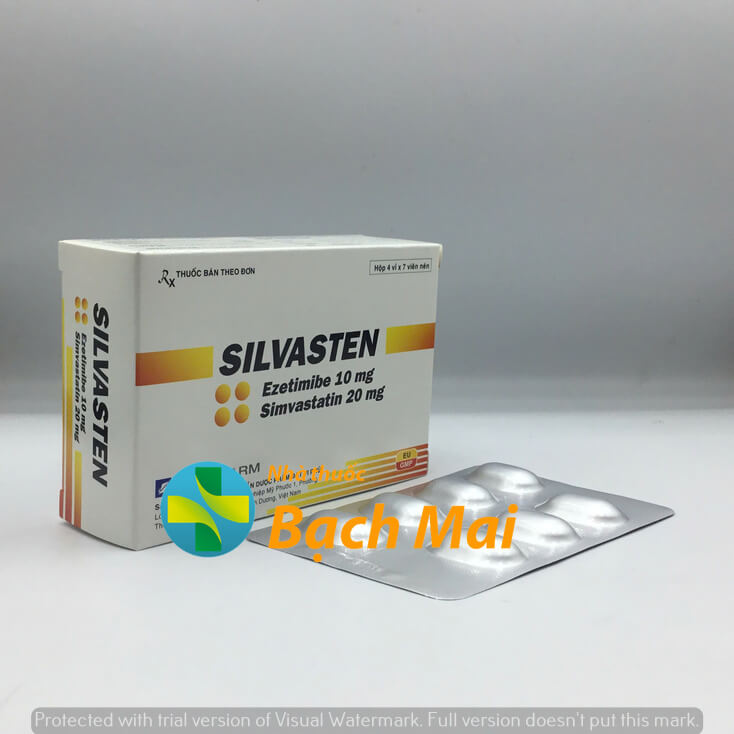 Silvasten 10/20