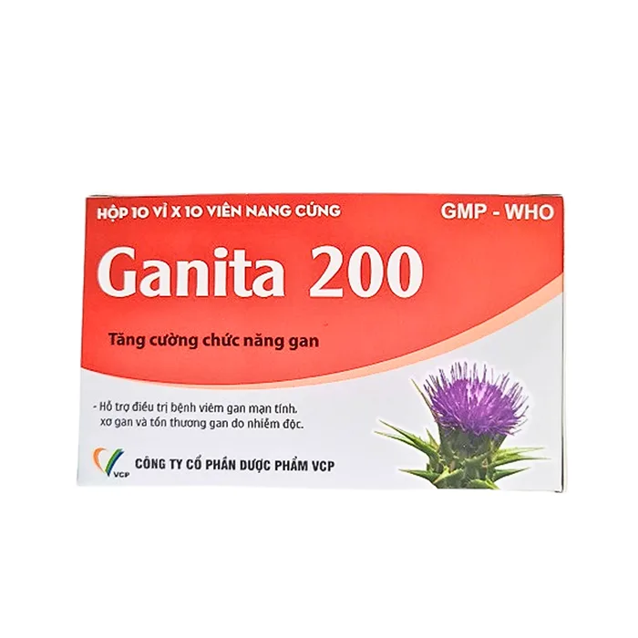 Ganita 200 H100v