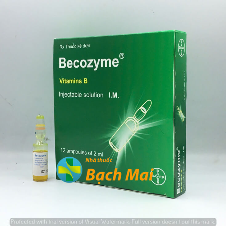 Becozyme inj 2ml