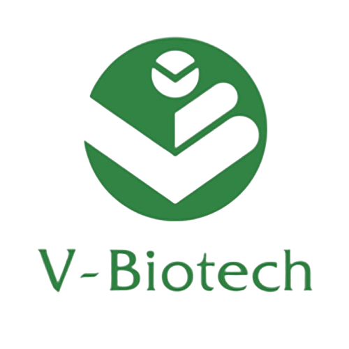 V-Biotech
