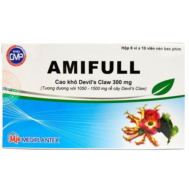 Amifull 300mg H60v