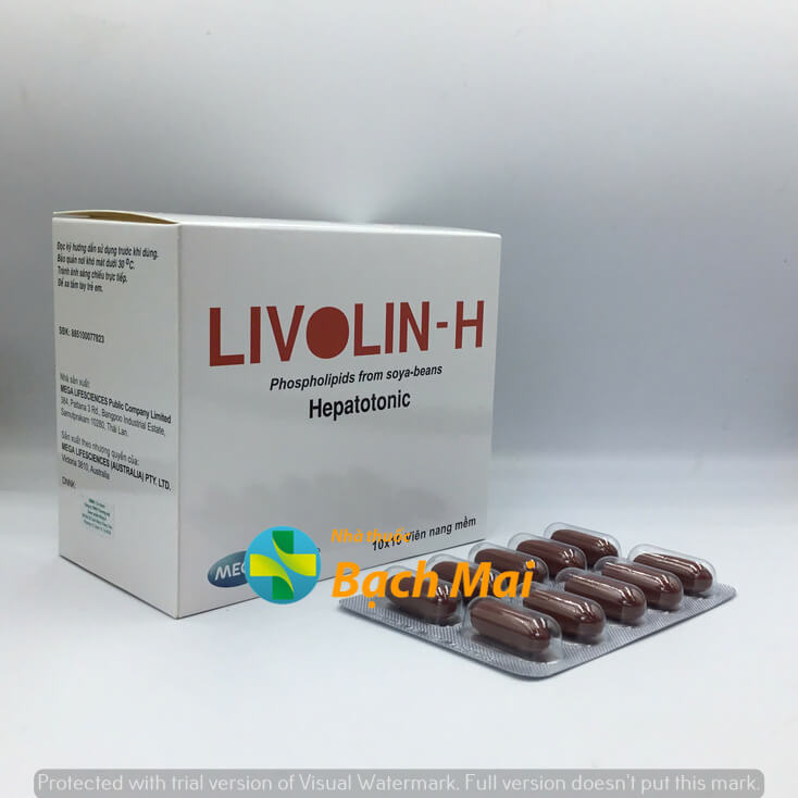 Livolin-H H100v