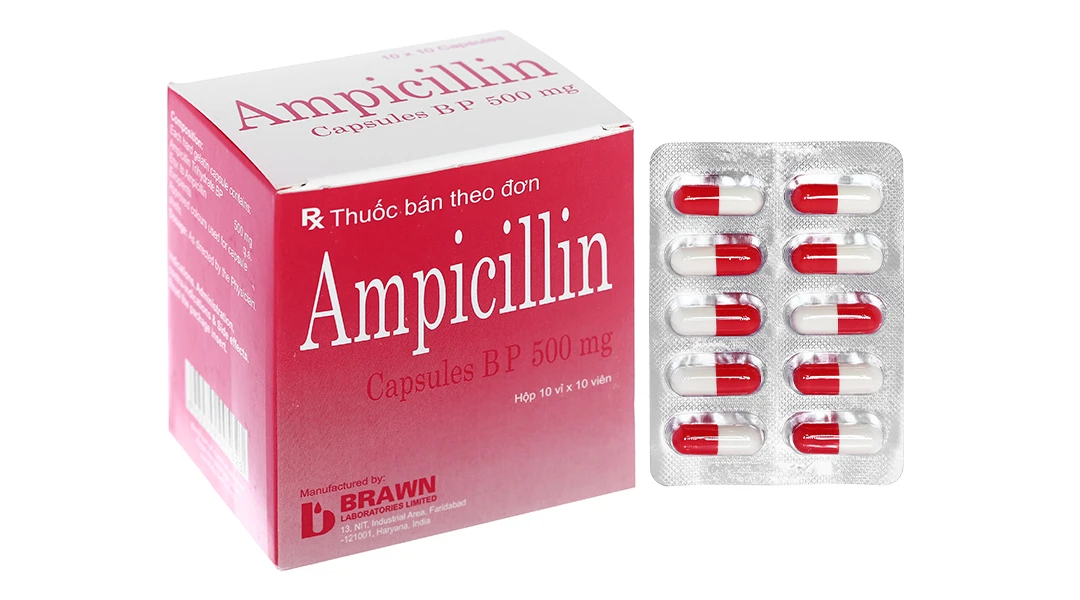 Ampicillin 500mg H100v