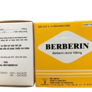 Berberin 100mg H100v