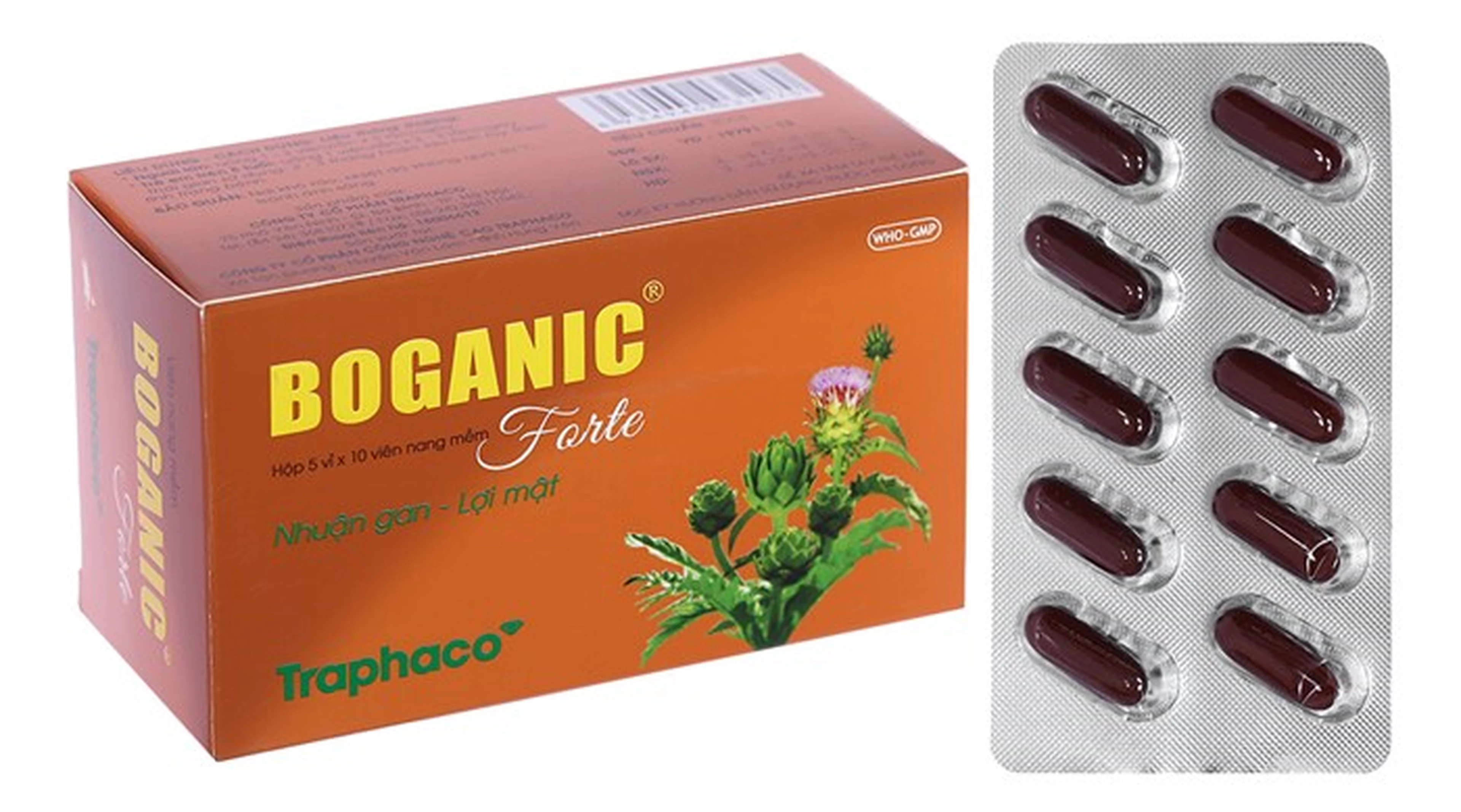 Boganic Forte H50v