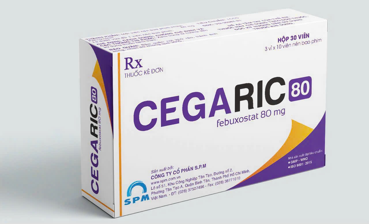 Cegaric 80 H30v