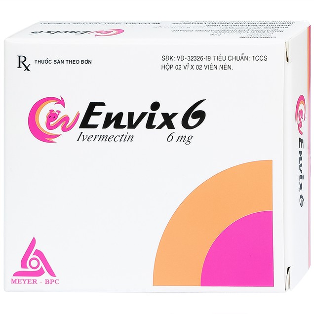 Envix 6