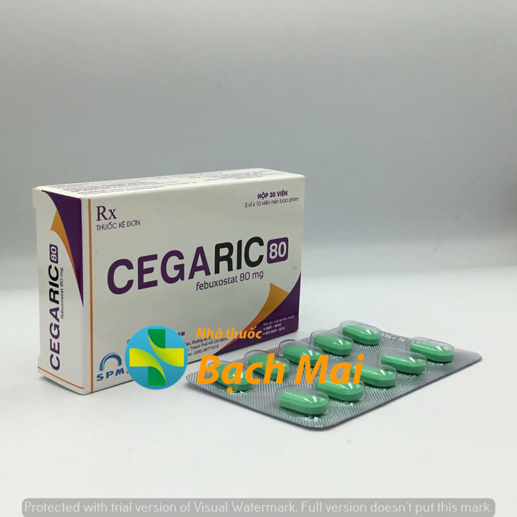 Cegaric 80 H30v