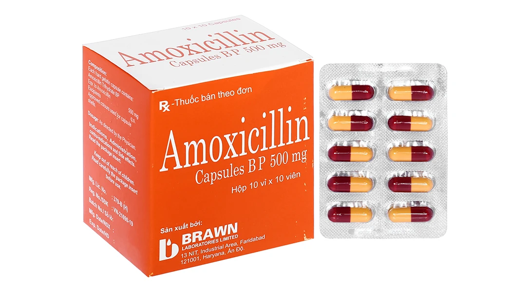 Amoxicillin 500mg Brawn H100v