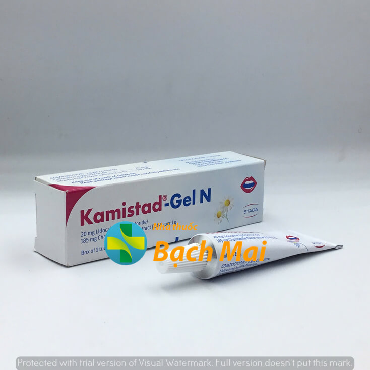 Kamistad-Gel N 10g