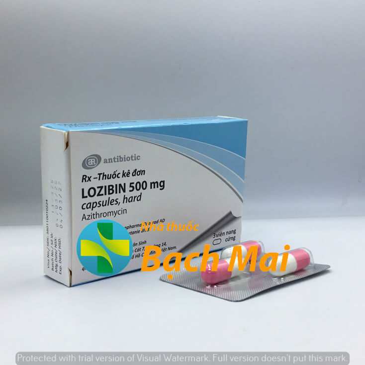 Lozibin 500mg H3v