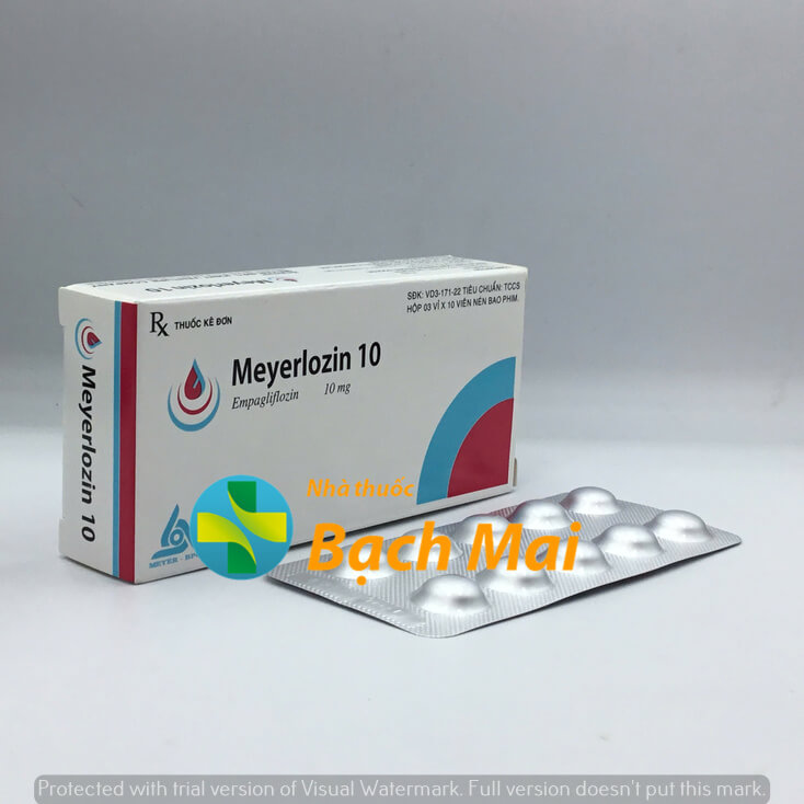Meyerlozin 10 H30v