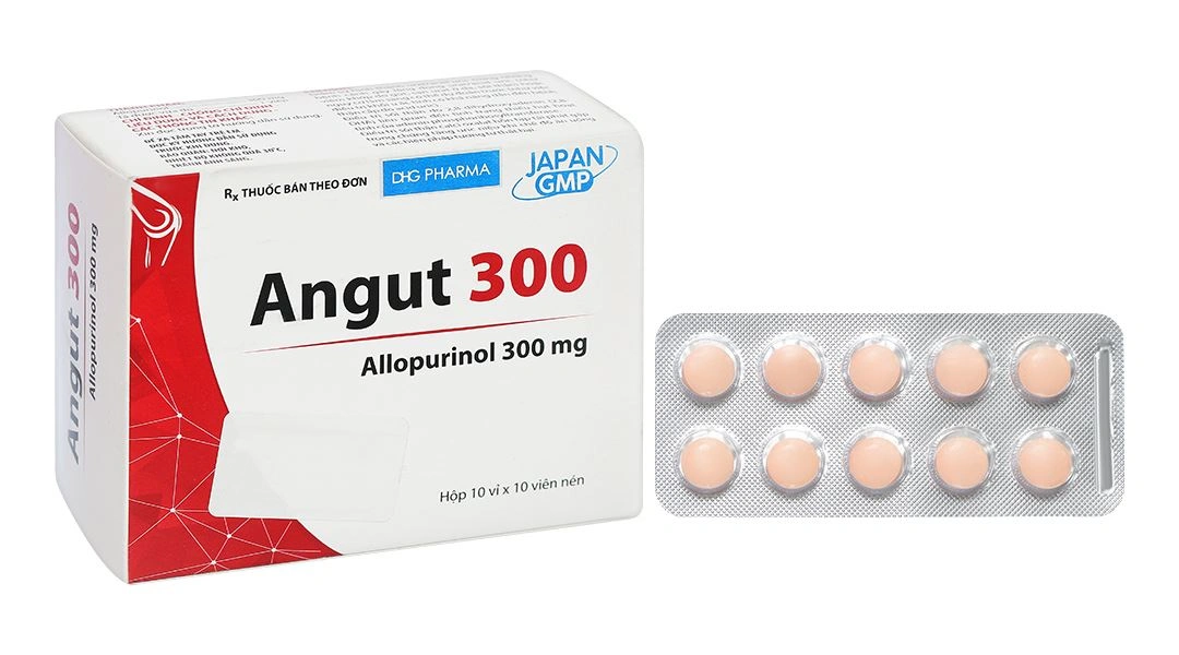 Angut 300 H100v
