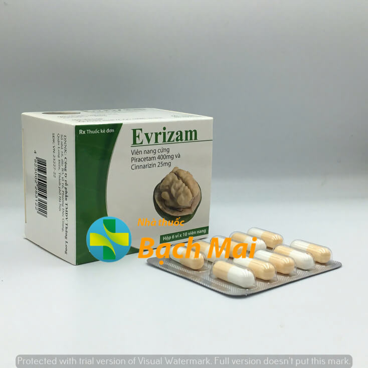 Evrizam 400/25 H60v