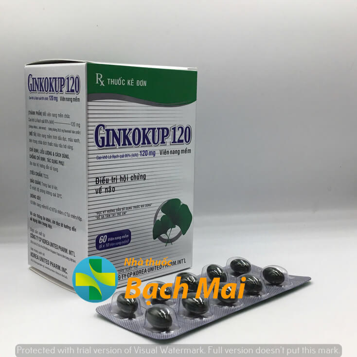 Ginkokup 120 H60v