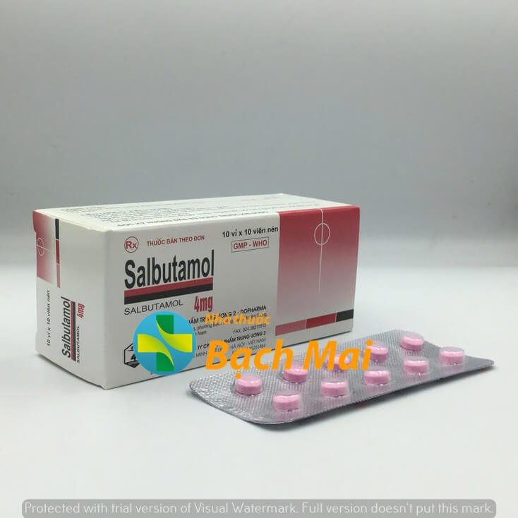Salbutamol 4mg H100v