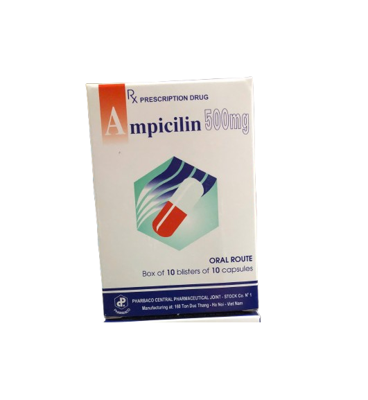 Ampicilin 500mg H100v