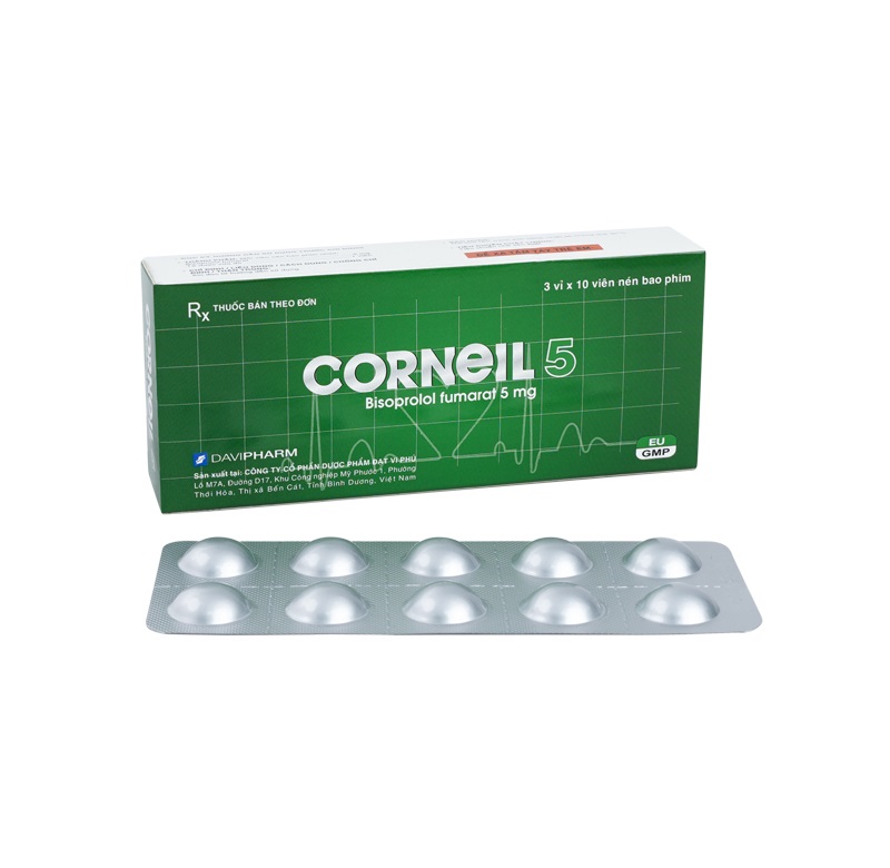 Corneil 5 H30v