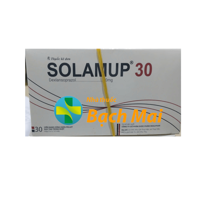 Solamup 30 H30v