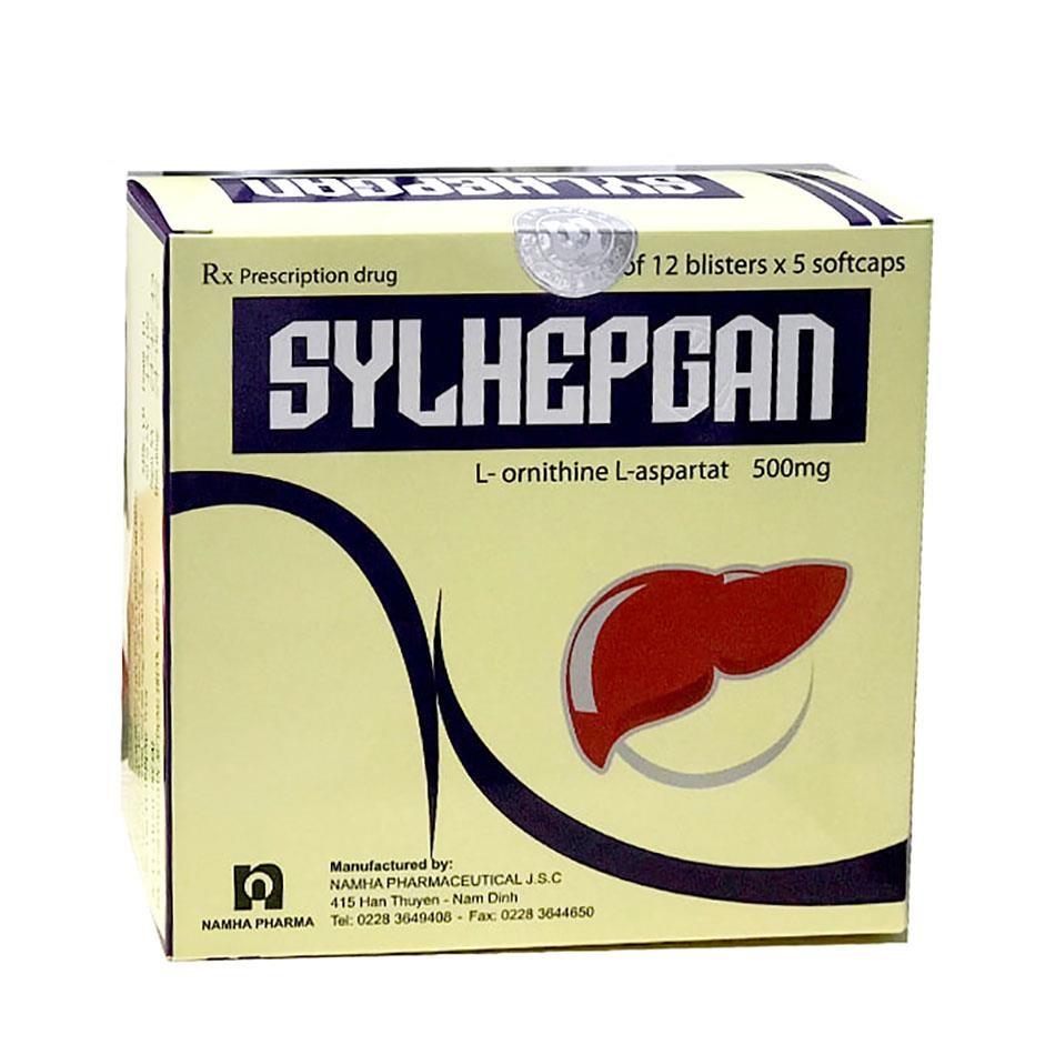 Sylhepgan 500 H60v