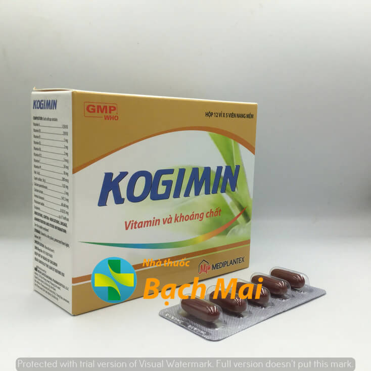 Kogimin H60v