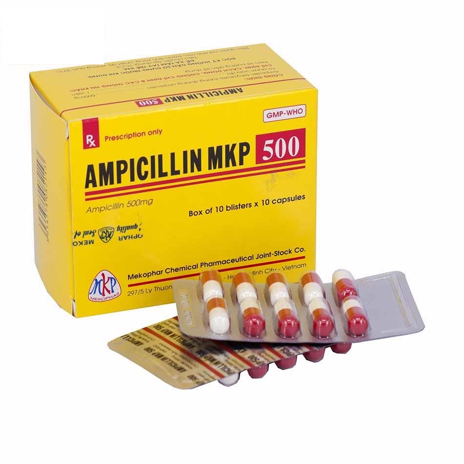 Ampicillin MKP 500 H100v