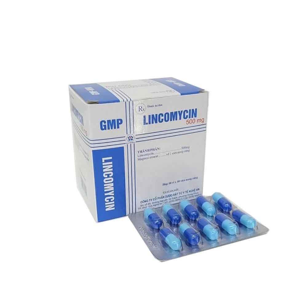 Lincomycin 500mg DNA Pharma
