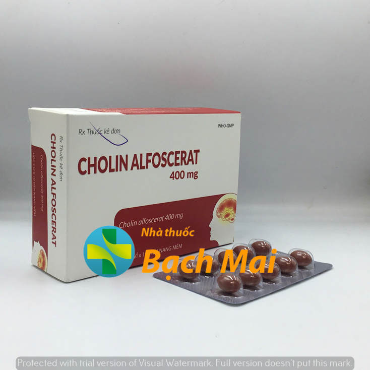 Cholin Alfoscerat 400mg H30v