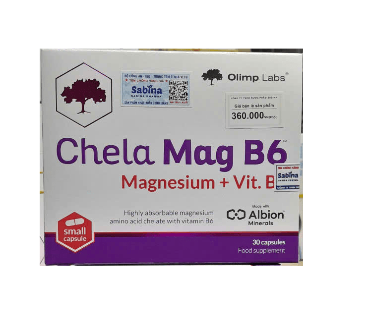 Chela Mag B6