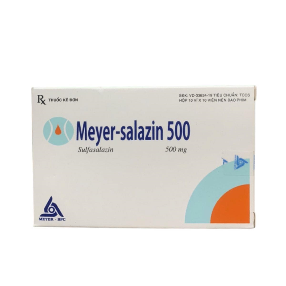 Meyer-salain 500 H100v