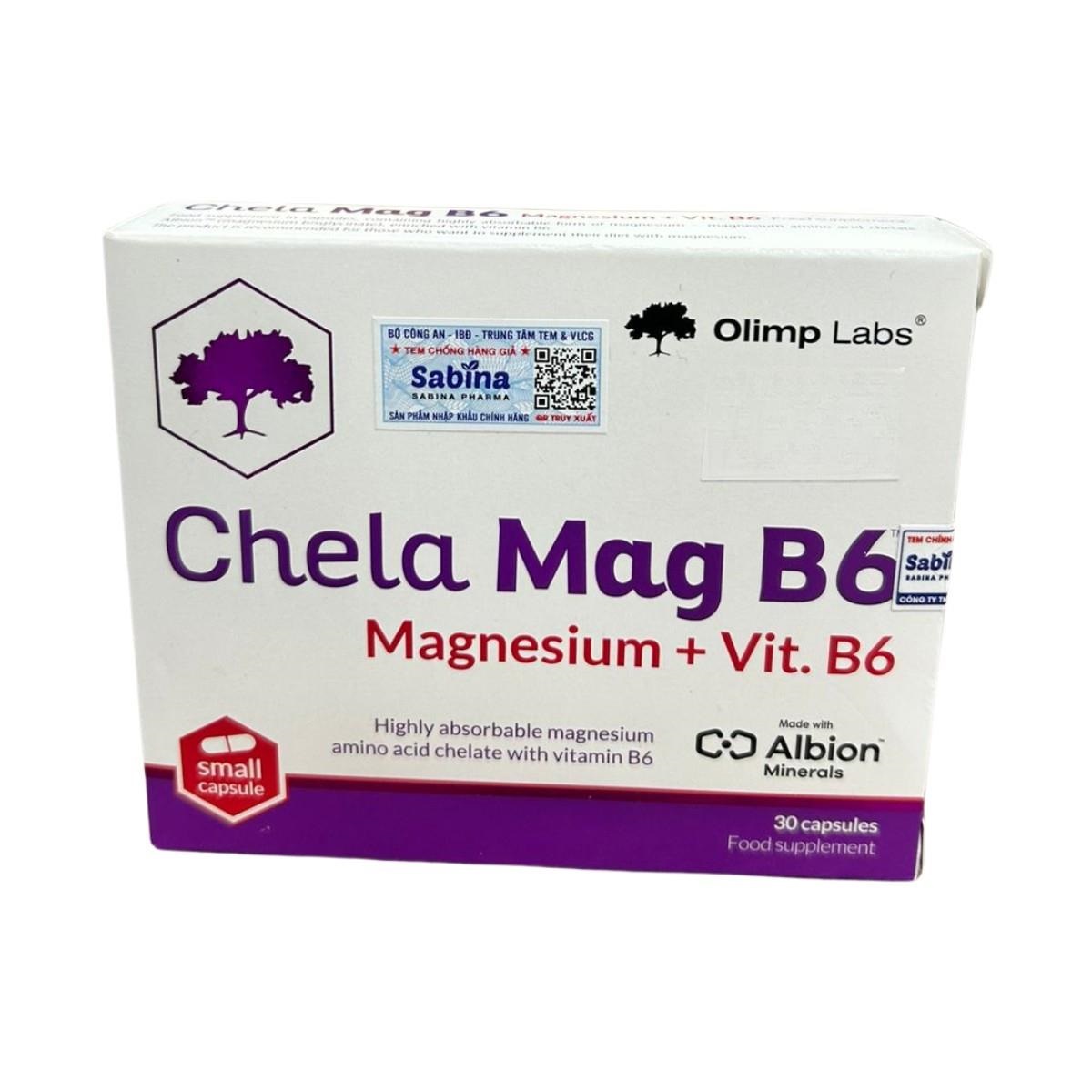 Chela Mag B6