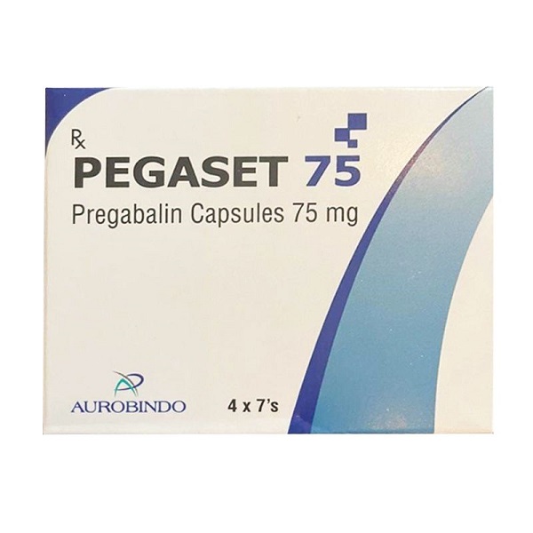 Pegaset 75 H28v