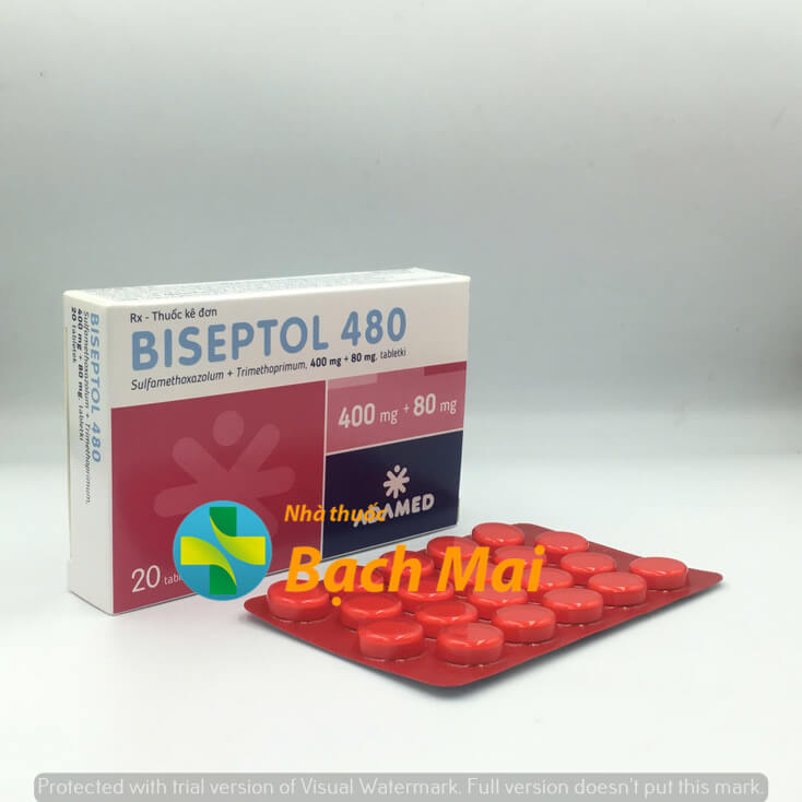 Biseptol 480 H20v