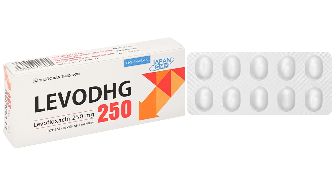 LevoDHG 250 H30v