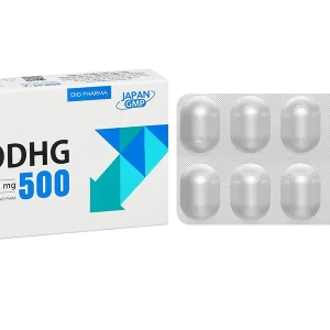 LevoDHG 500 H30v