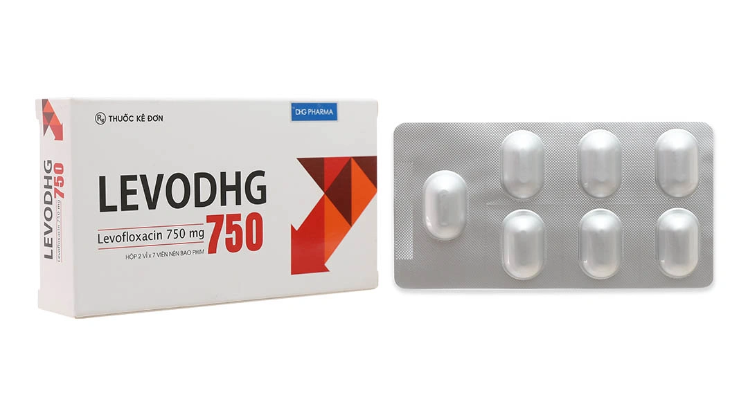 LevoDHG 750 H14v