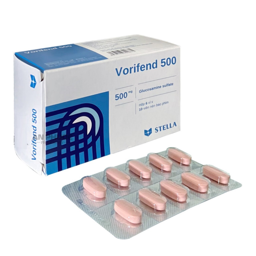 Vorifend 500 H60v