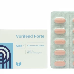 Vorifend Forte 500 H60v