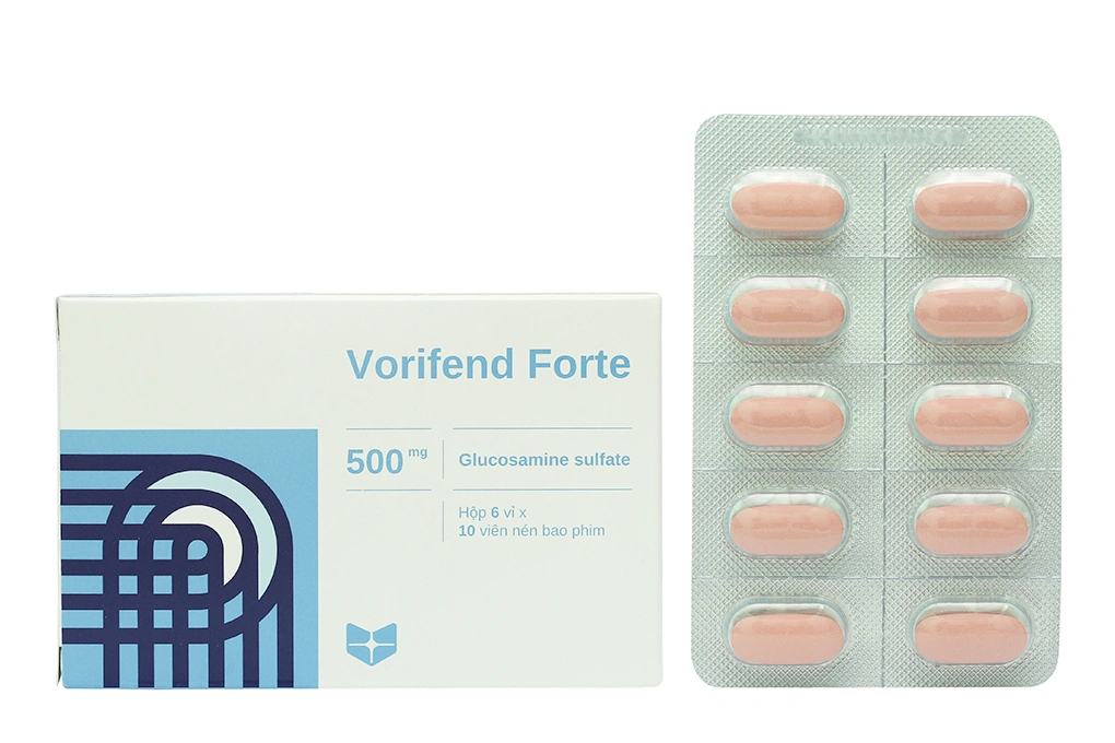 Vorifend Forte 500 H60v