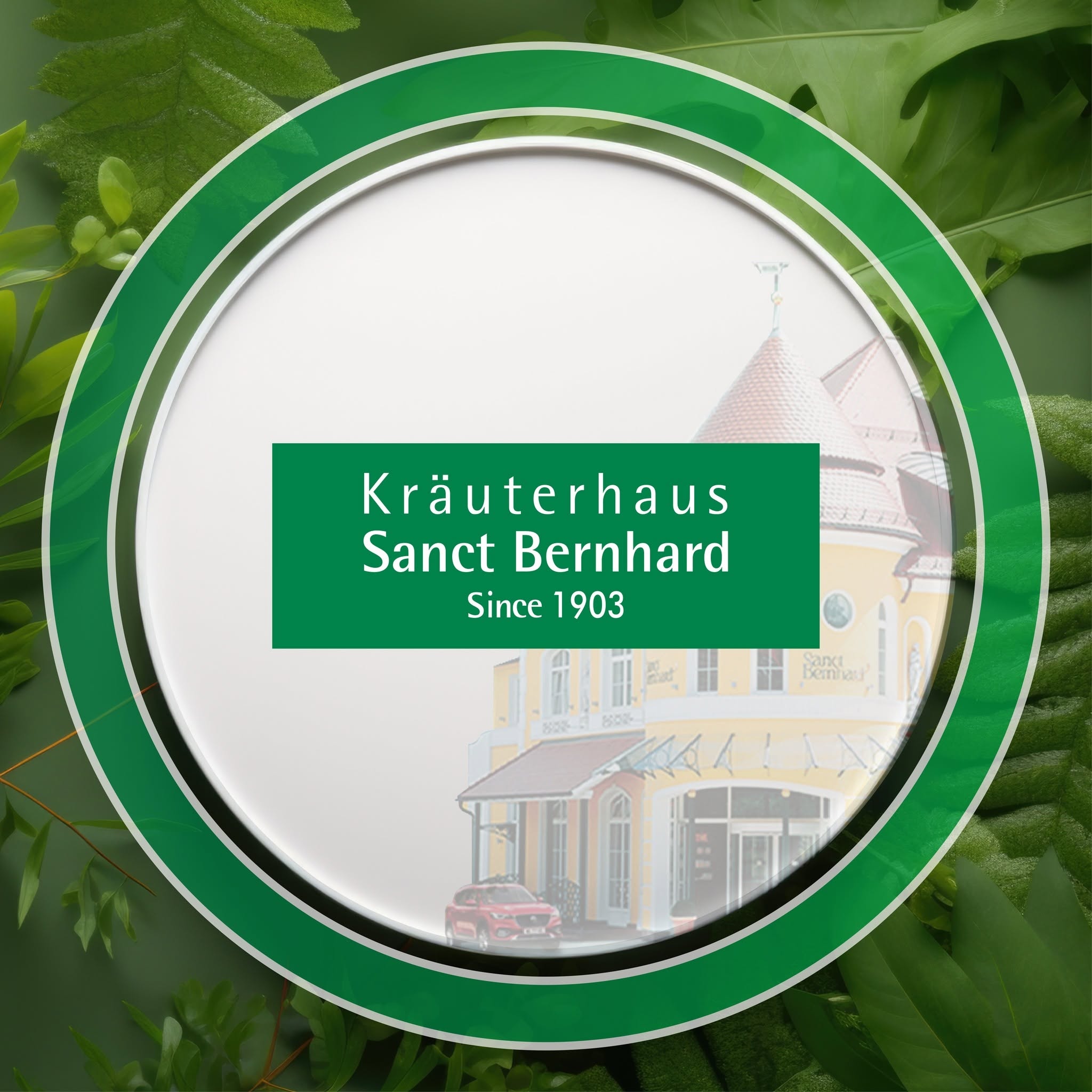 Sanct Bernhard